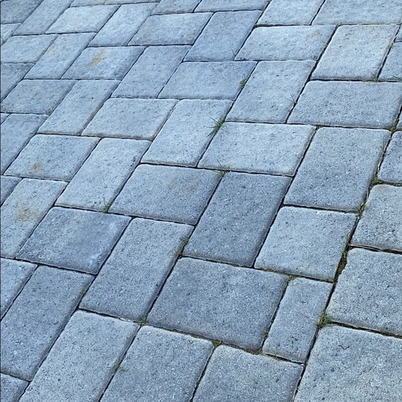 Meet your Posher, Max - Picture 1 of 1